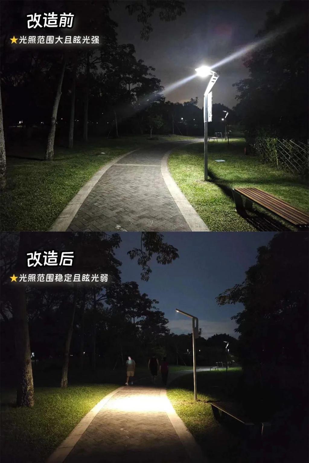 鸟在路灯里筑巢？这是住得更好，还是更差了？