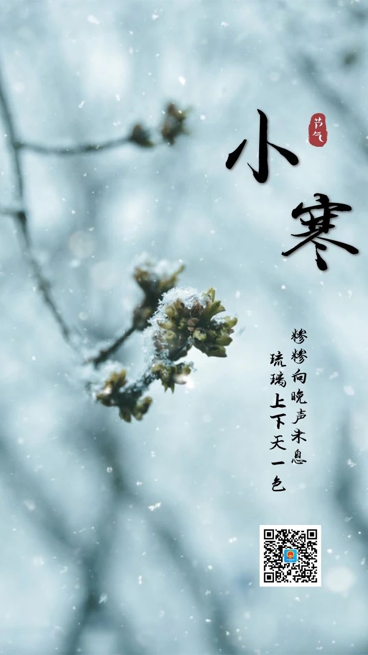 今日小寒，盼雪迎春