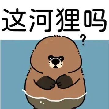 河狸帮人类把拖了7年的水坝建好了？这河狸吗？