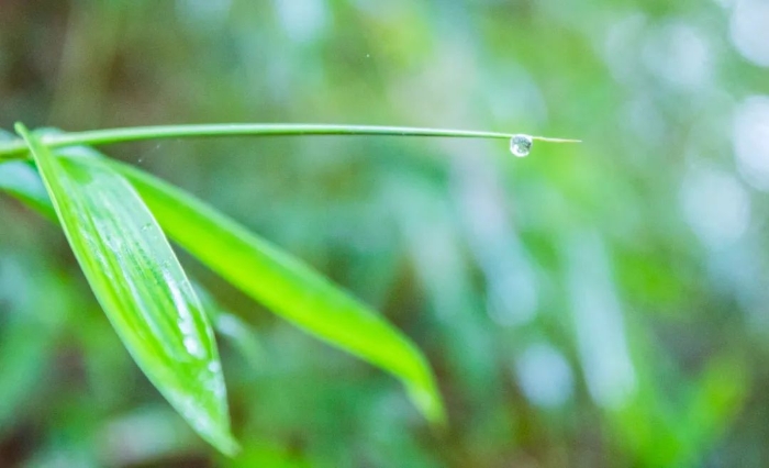 天气转暖温差大，雨水渐多湿度升，抓好健康“4味良方”~